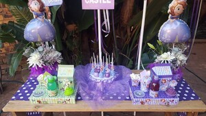 We make Princess Sofia The First party supplies for boys and girls and deliver.