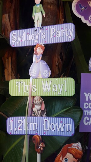 We are an events and party planning company specialising in custom made Princess Sofia The First party supplies.