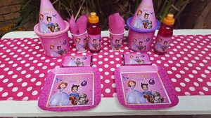 Apart from Princess Sofia The First birthday decor, we also provide soft play equipment and stretch tents for your function.