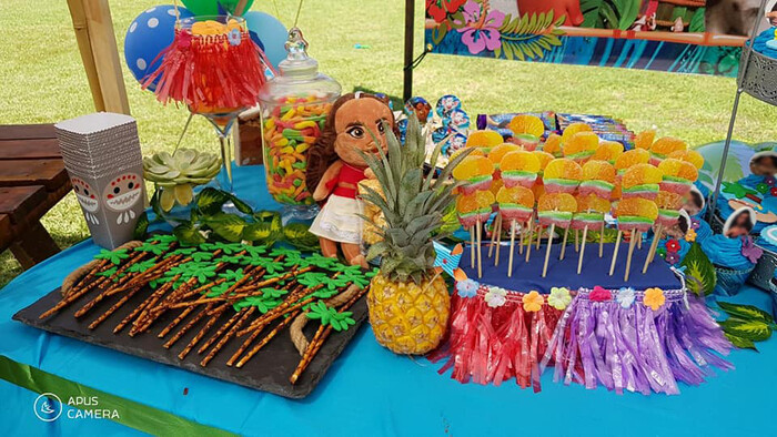 Kiddies Theme Parties offers personalized birthday party supplies and decor for sale.