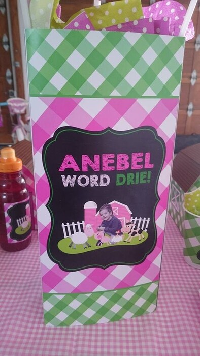 Kiddies Theme Parties offers personalized birthday party supplies and decor for sale.