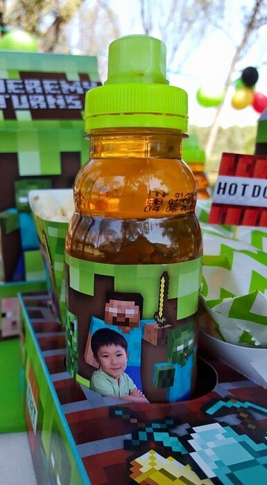 Kiddies Theme Parties hire out gazebos, picnic tables, umbrellas and photo boards for your Minecraft party.