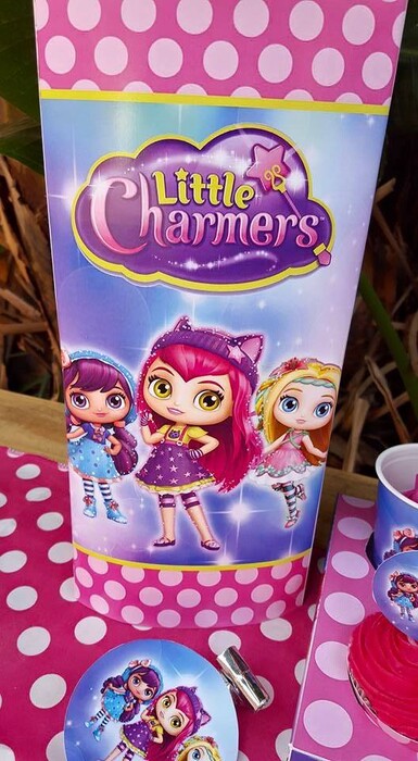 Kiddies Theme Parties hire out jumping castles for your Little Charmers party.