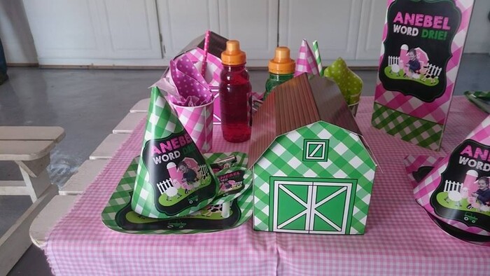 Kiddies Theme Parties offers personalized birthday party supplies and decor for sale.