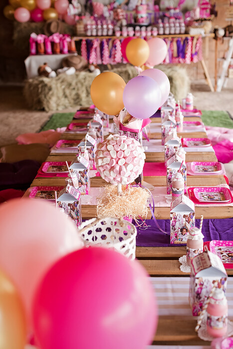 Kiddies Theme Parties offers personalized birthday party supplies and decor for sale.