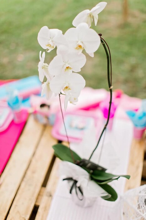 Kiddies Theme Parties offers personalized birthday party supplies and decor for sale.