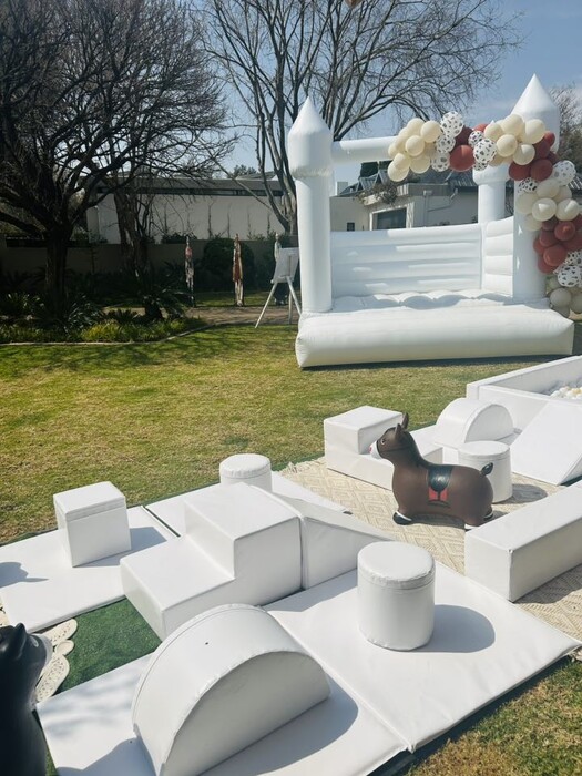 Kiddies Theme Parties offers personalized birthday party supplies and decor for sale.