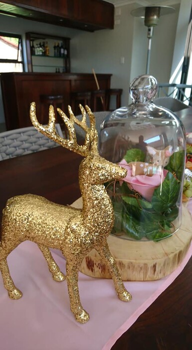 Kiddies Theme Parties offers personalized birthday party supplies and decor for sale.