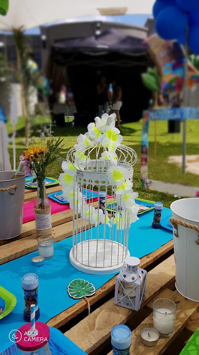 Kiddies Theme Parties offers personalized birthday party supplies and decor for sale.