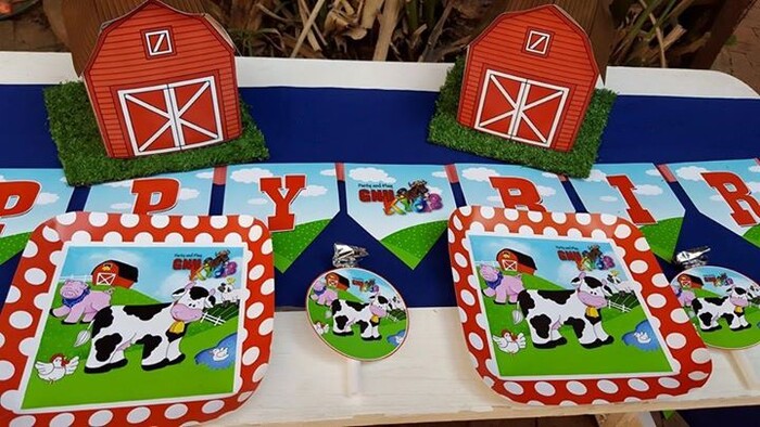 Kiddies Theme Parties offers personalized birthday party supplies and decor for sale.