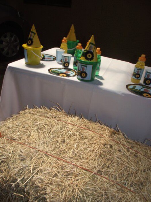 We are a Gauteng based events and party planning company specialising in custom made party supplies.