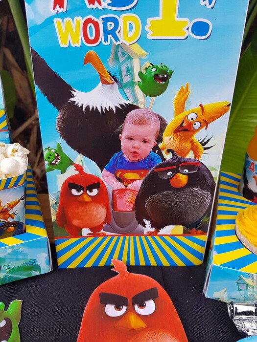 Click on this photo to Zoom. Contact us via email for a complete price list. Our custom made Angry Birds party supplies include personalised pvc banners, party packs, movie boxes and more.