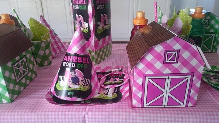 Kiddies Theme Parties offers personalized birthday party supplies and decor for sale.