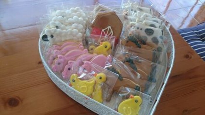 Kiddies Theme Parties offers personalized birthday party supplies and decor for sale.