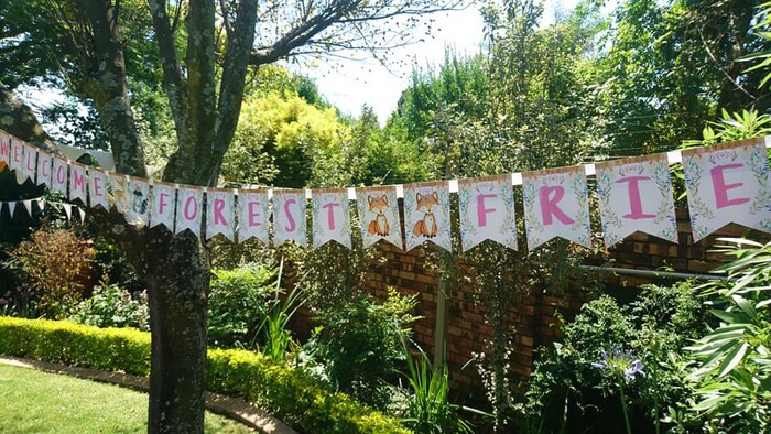 Kiddies Theme Parties offers personalized birthday party supplies and decor for sale.