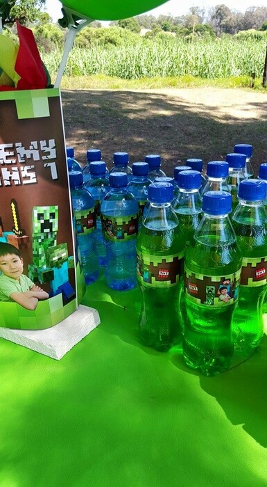 Kiddies Theme Parties offers complete Minecraft party packages so you don't have to worry about a thing