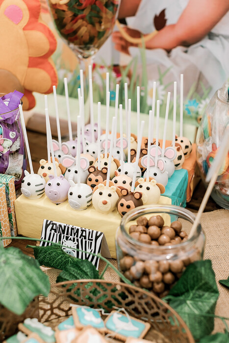 Kiddies Theme Parties offers personalized birthday party supplies and decor for sale.