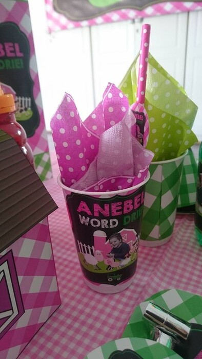 Kiddies Theme Parties offers personalized birthday party supplies and decor for sale.