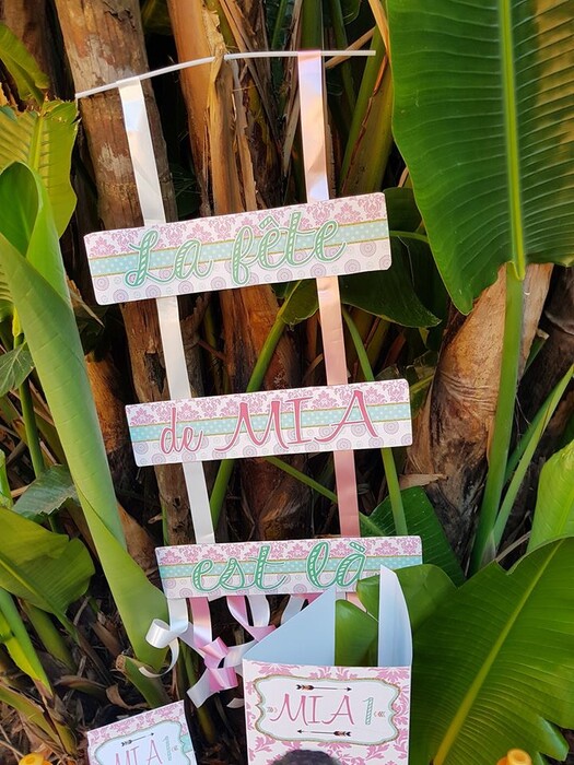 Kiddies Theme Parties offers personalized birthday party supplies and decor for sale.