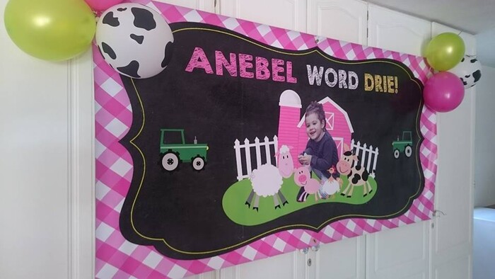 Kiddies Theme Parties offers personalized birthday party supplies and decor for sale.