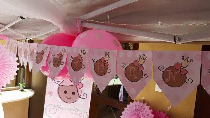 Kiddies Theme Parties hire out jumping castles for your party.