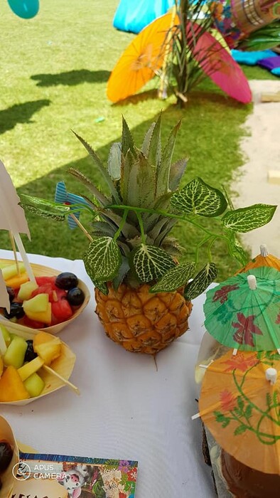 Kiddies Theme Parties offers personalized birthday party supplies and decor for sale.