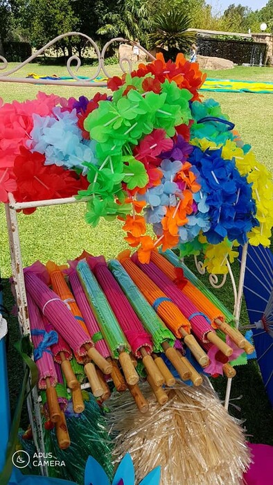 Kiddies Theme Parties offers personalized birthday party supplies and decor for sale.