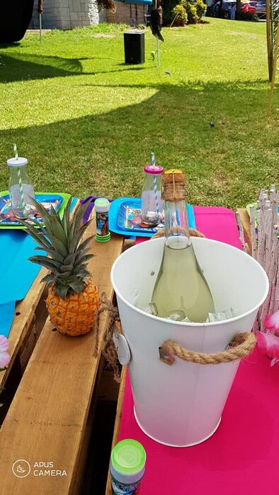 Kiddies Theme Parties offers personalized birthday party supplies and decor for sale.