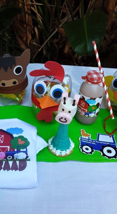 We make 1st birthday party supplies, party supplies for boys and girls as well as babyshower decor.