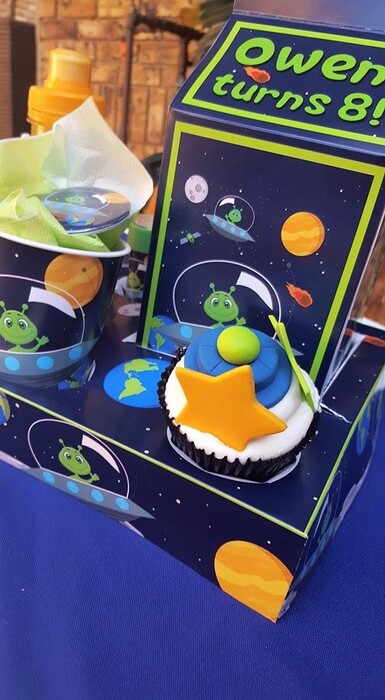 * Kiddies Theme Parties hire out jumping castles for your party.