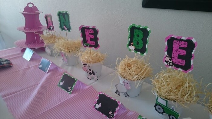 Kiddies Theme Parties offers personalized birthday party supplies and decor for sale.