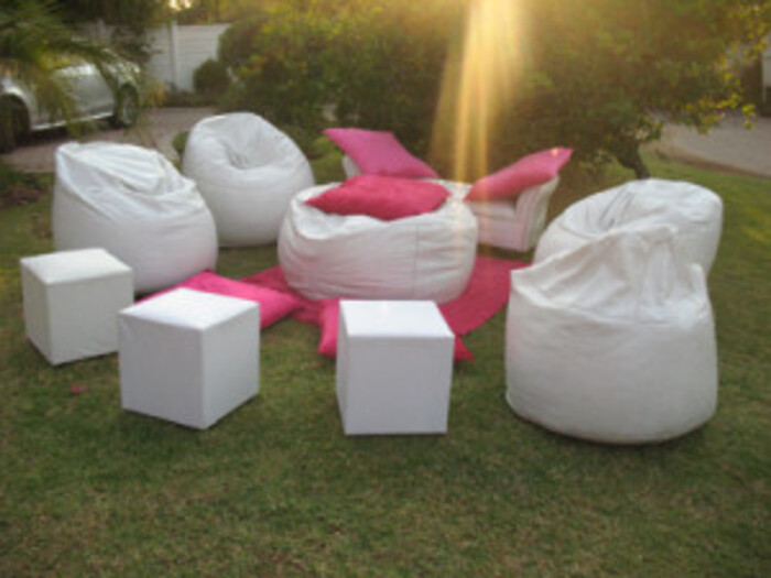 Kiddies Theme Parties hire out jumping castles for your party.
