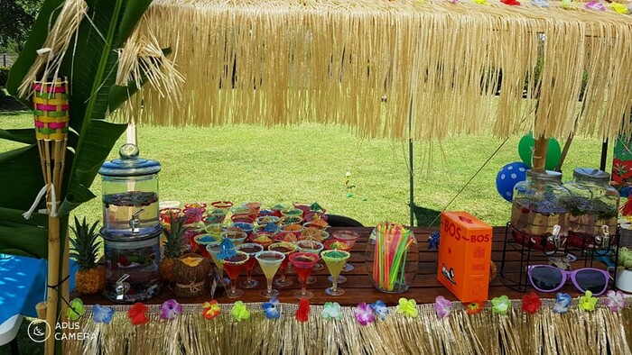 Kiddies Theme Parties offers personalized birthday party supplies and decor for sale.