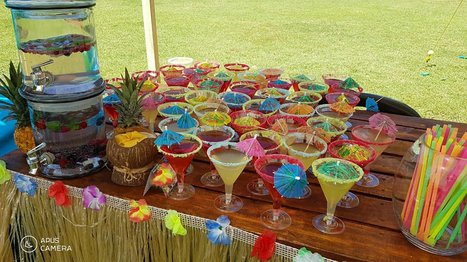 Hawaiian Island Princess party supplies Decor South